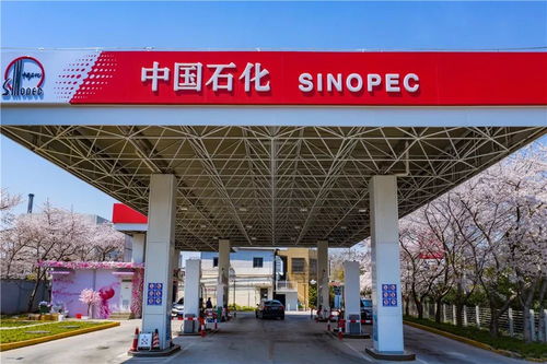 中國石化37周年慶 在能源領(lǐng)域譜寫華章，租賃市場(chǎng)見證發(fā)展足跡