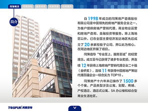 房地產(chǎn)咨詢服務 賦能決策，驅(qū)動價值